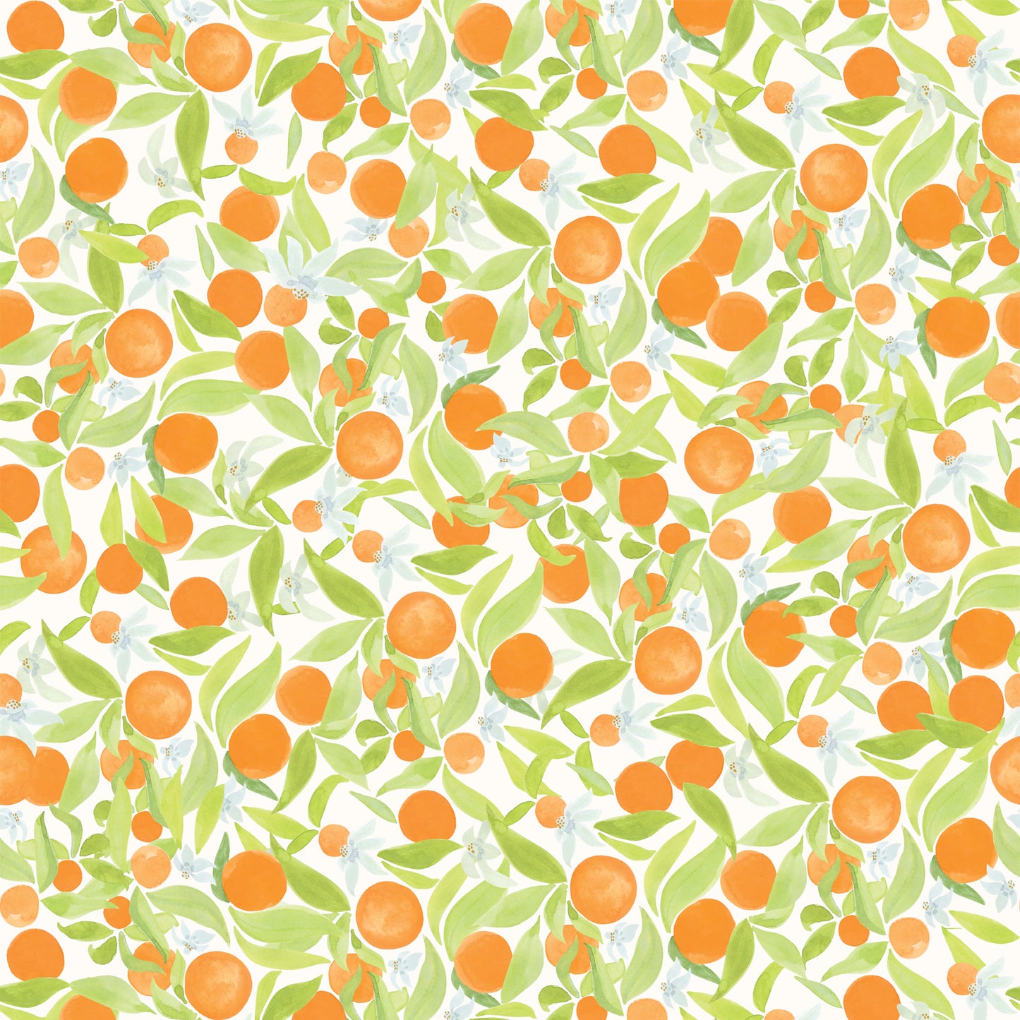 Citrus 4 Us - Orange on Cream