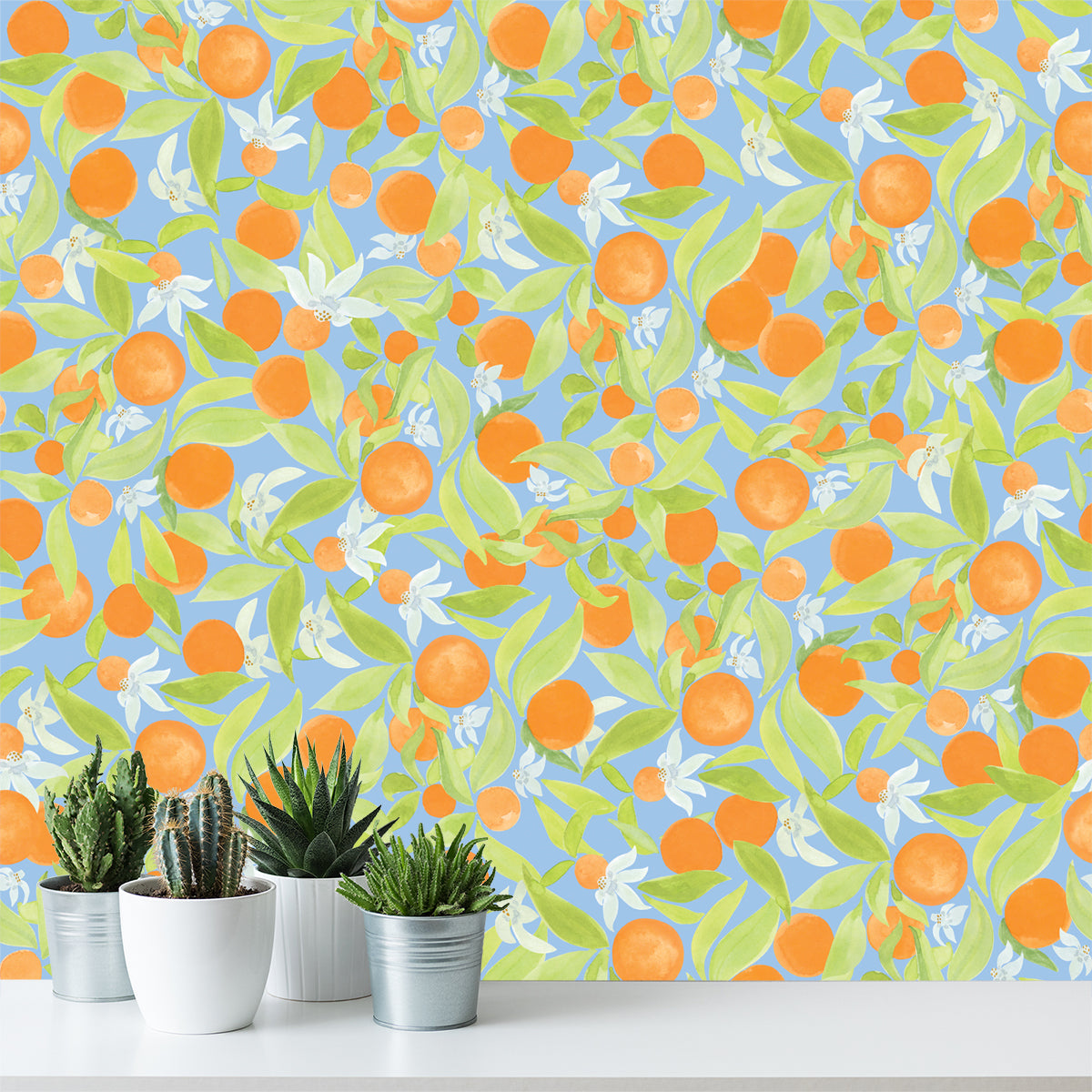 Citrus 4 Us - Orange on Sky