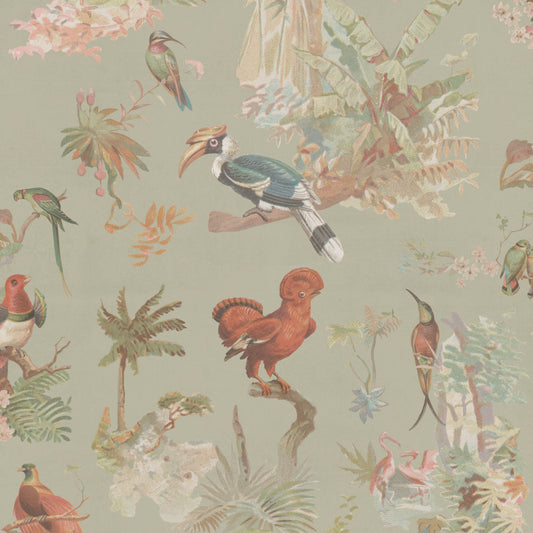 Birds Of The Tropics - Dusty Green